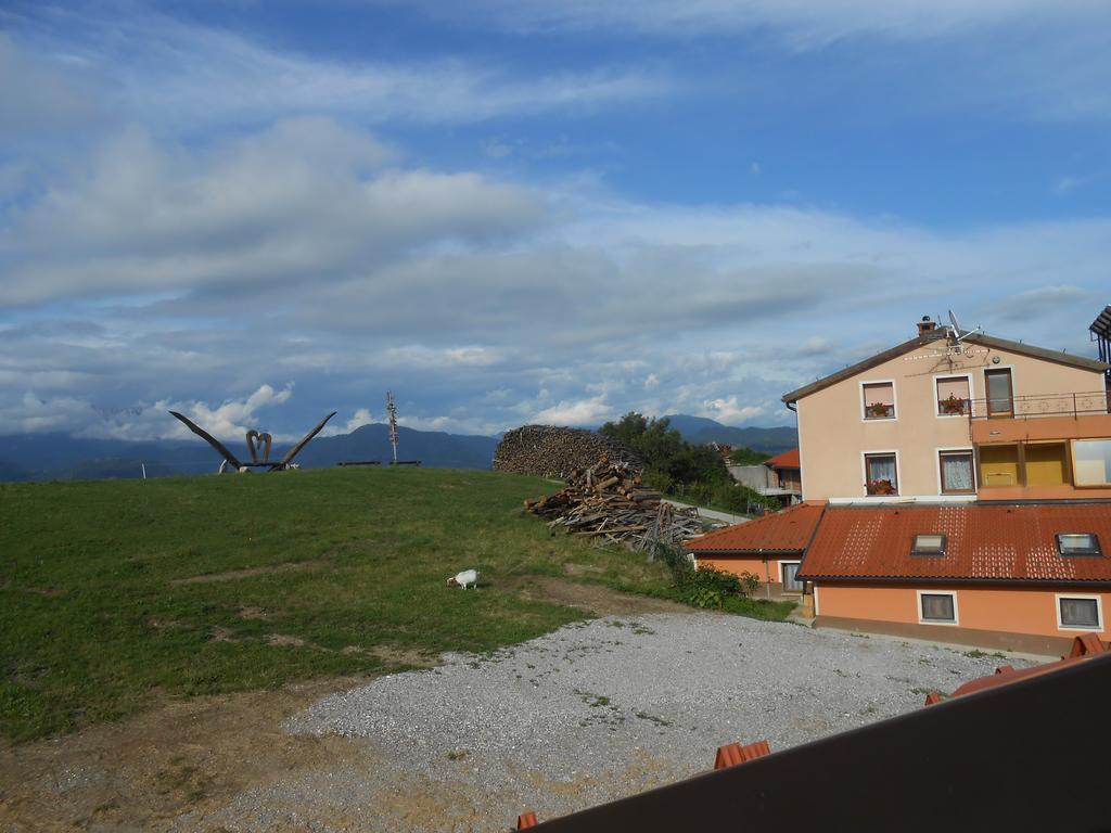 Turisticna Kmetija Siroko Vila Tolmin Quarto foto